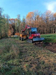 Pásový bagr Yanmar na louce u lesa